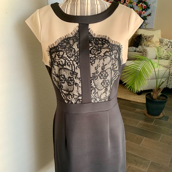 Lace Overlay Cap Sleeve Dress 
Size: 8
Color: Taupe/black - Picture 3 of 5